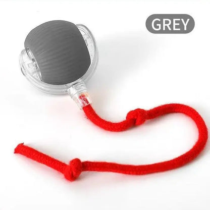 2026 New Smart Automatic Rolling Rubber Ball Cat Toy - USB Rechargeable, Light-Up, Quiet, Bite-Resistant, Wear-Resistant, Non-Toxic, Shatterproof, Plain, Adjustable Mode, Speedy Tail Moving, Universal Fit Interactive Pet Toy (Free Gift Included)