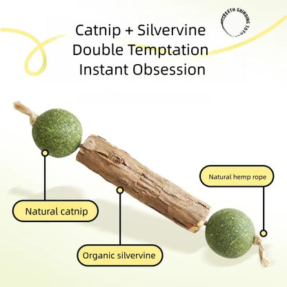 6-Pcs Natural Silvervine & Catnip Dental Chew Sticks for Cats - Calming Support, Teeth Cleaning, Fresh Breath, Boredom Buster