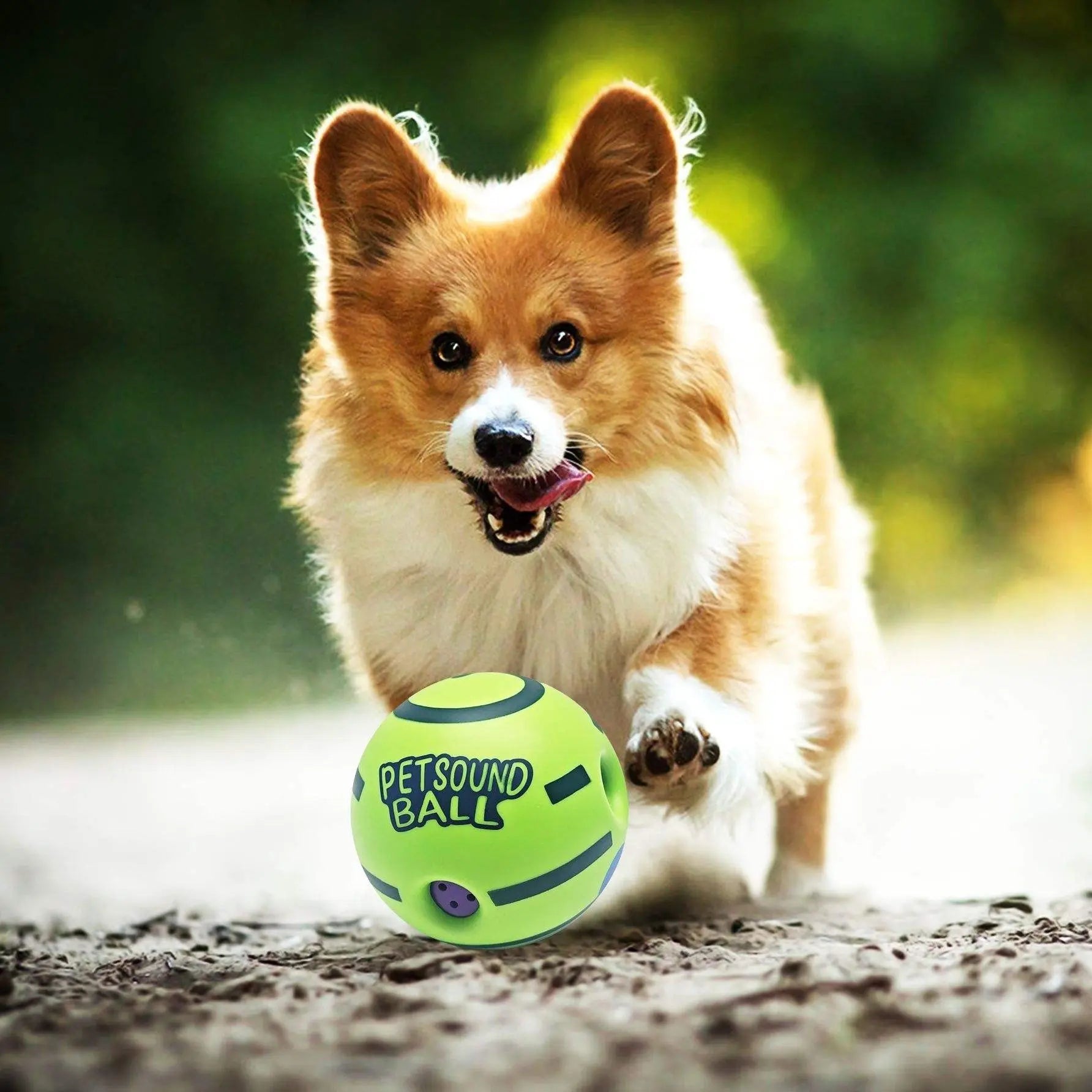 Pet Sound Toy Ball, Silicone Dog Treats Dispenser Ball, Interactive Dog Training Ball, Interactive Pet Chew Toys, Fun Indoor and Outdoor Dog Toy, Durable Chew