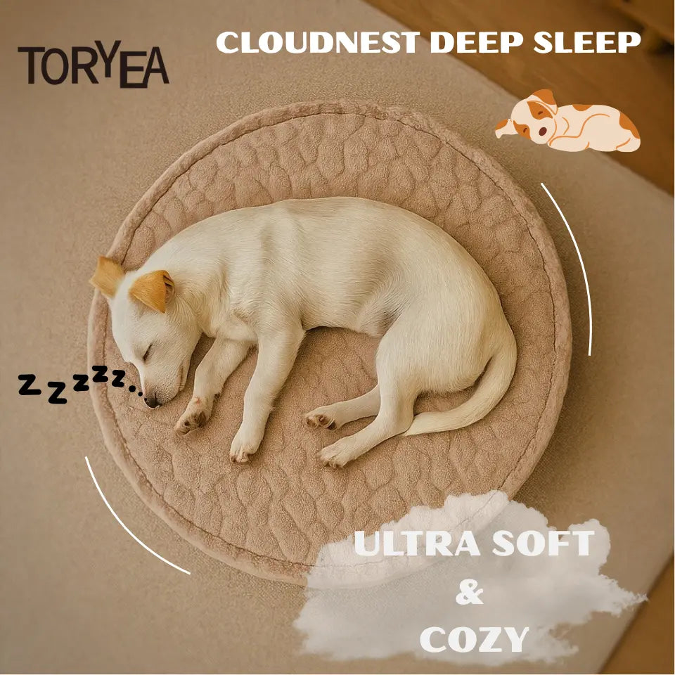 TORYEA PET Cloudnest Plush Dog & Cat Bed - Calm Beige Edition, Ultra Soft Faux Fur, Thick Supportive Joint Support Cushion, Detachable Washable Cover, Non-Slip Bottom, Elegant Home Design, All Ages Deep Sleep Premium All-Season Pet Bed