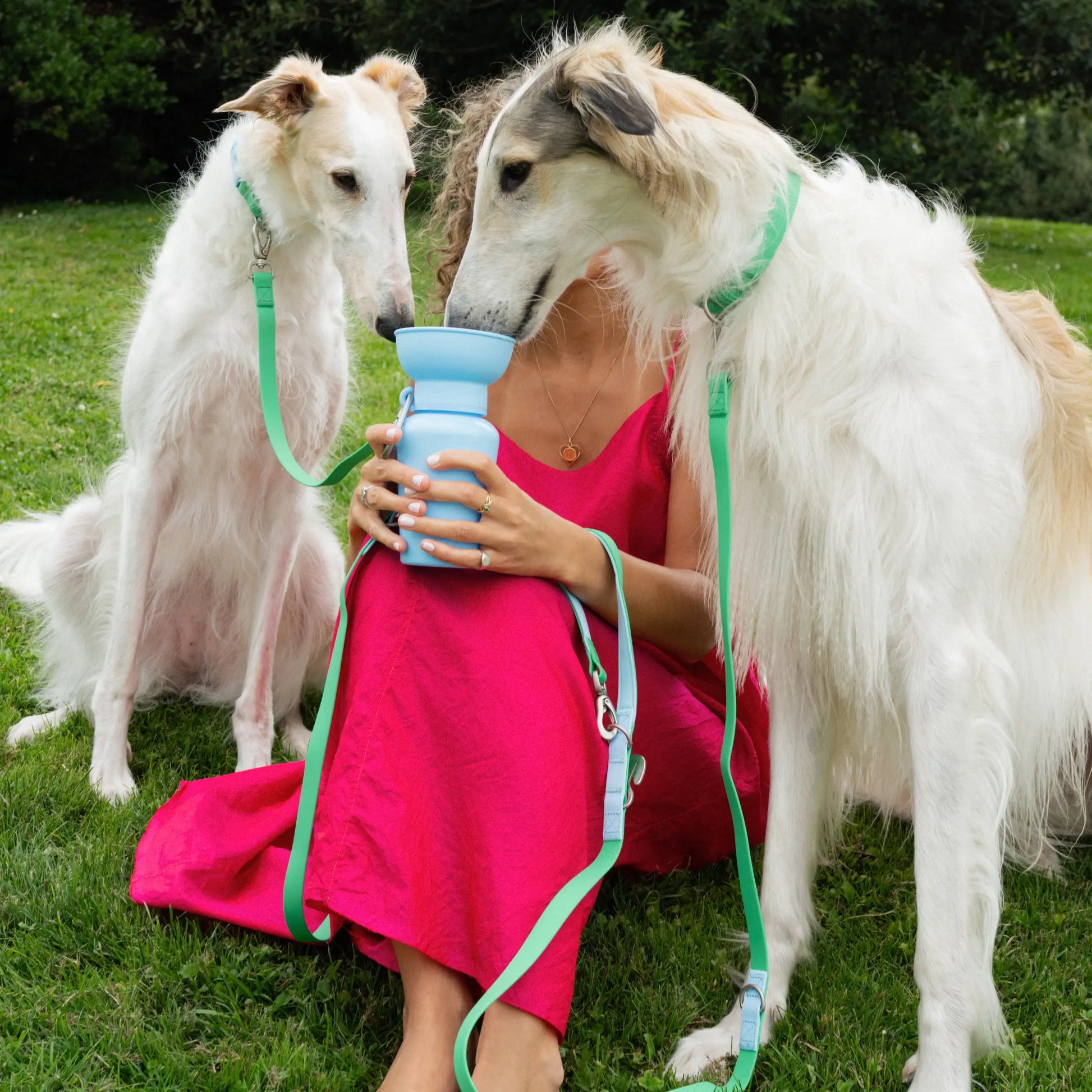 20 oz Portable Dog Water Bottle for Travel