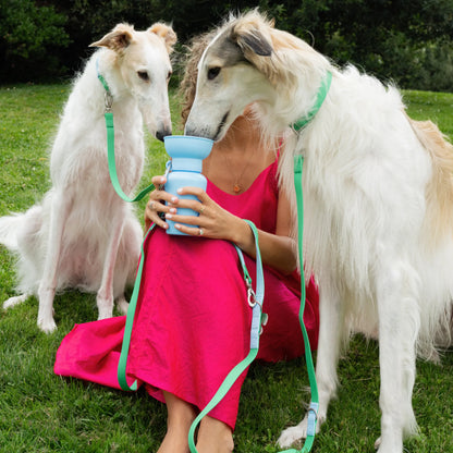 20 oz Portable Dog Water Bottle for Travel