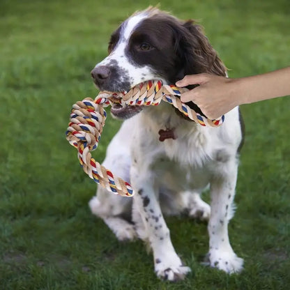 Interactive Cotton Rope Dog Leash Toy with Dual Grab Loops and Knots - Durable Chew Stick for Puppies and Dogs of All Sizes