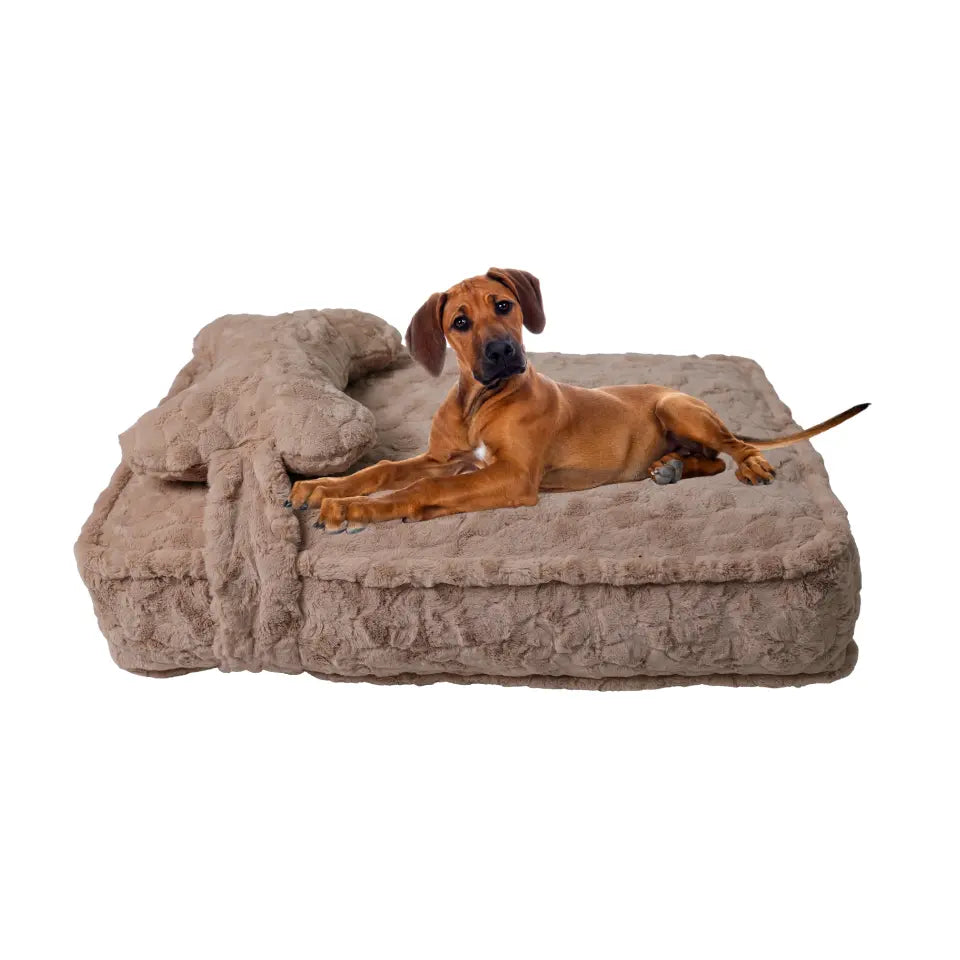 TORYEA PET Cloudnest Plush Dog & Cat Bed - Calm Beige Edition, Ultra Soft Faux Fur, Thick Supportive Joint Support Cushion, Detachable Washable Cover, Non-Slip Bottom, Elegant Home Design, All Ages Deep Sleep Premium All-Season Pet Bed