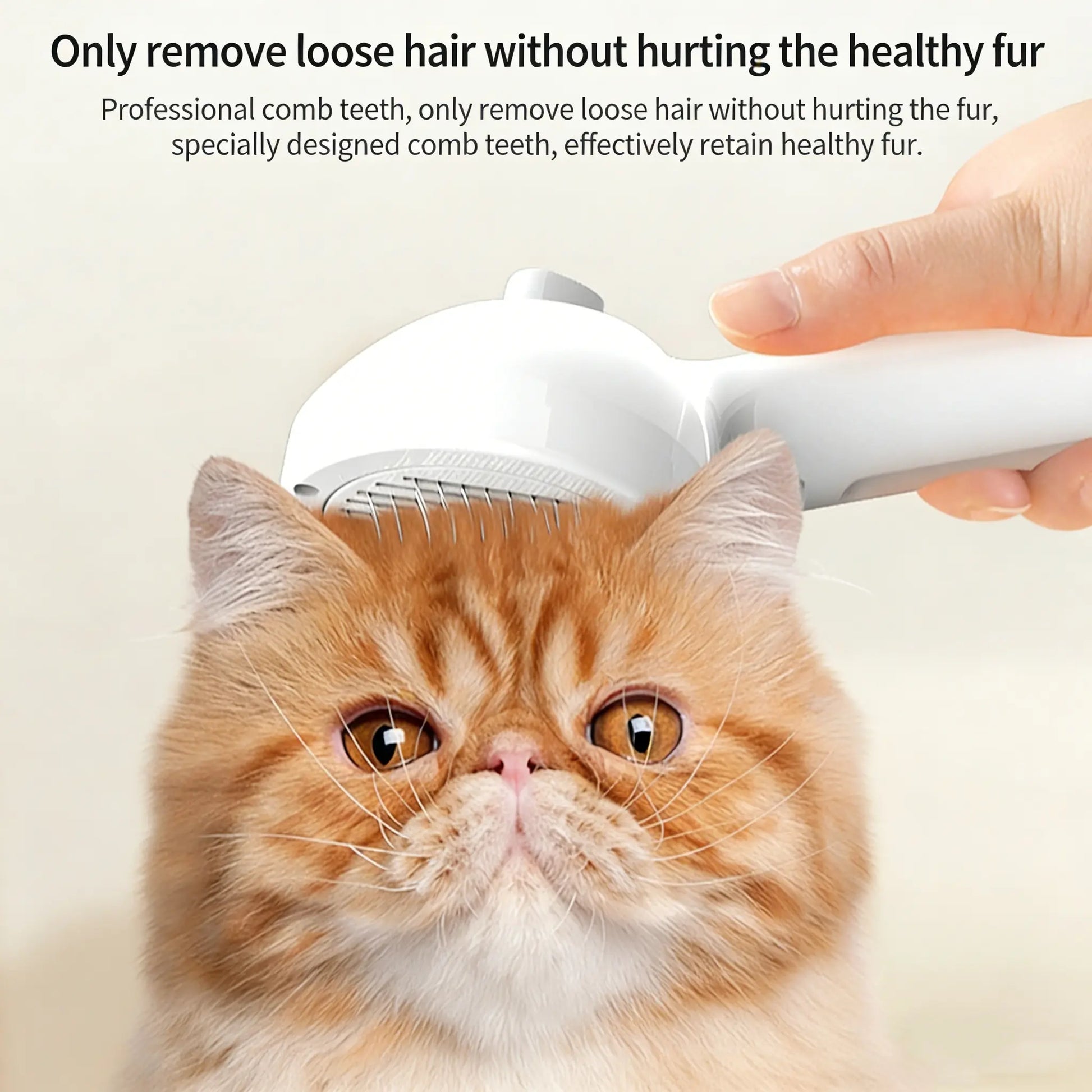 Pecute Pet Spray Hair Removal Brush for Cat/Dog – Deshedding & Grooming Tool, One Button Hair Removal