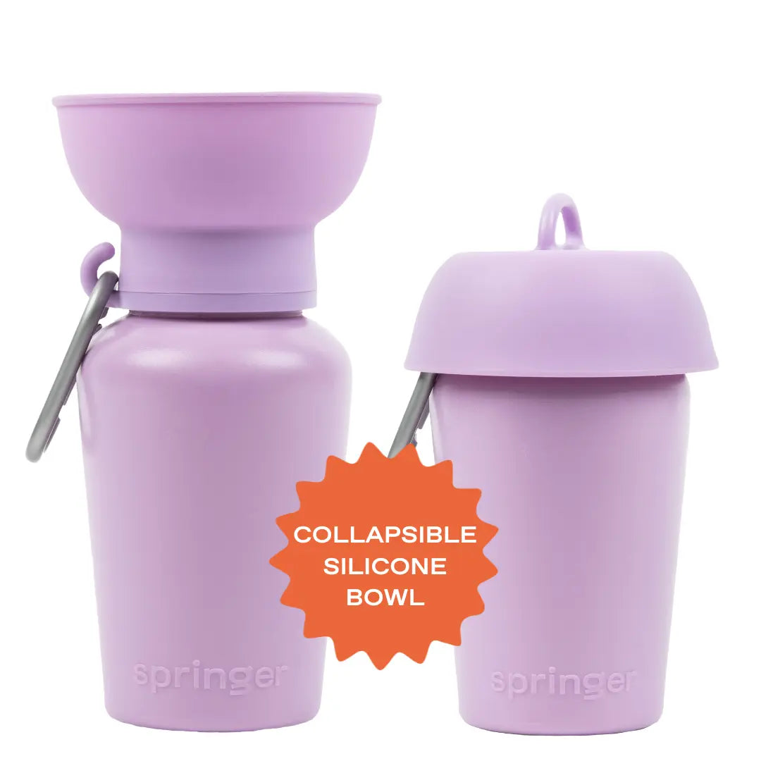 20 oz Portable Dog Water Bottle for Travel
