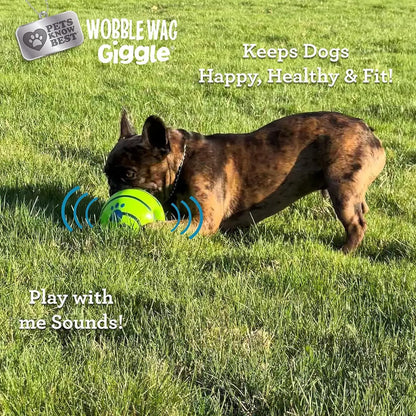 Pet Sound Toy Ball, Silicone Dog Treats Dispenser Ball, Interactive Dog Training Ball, Interactive Pet Chew Toys, Fun Indoor and Outdoor Dog Toy, Durable Chew