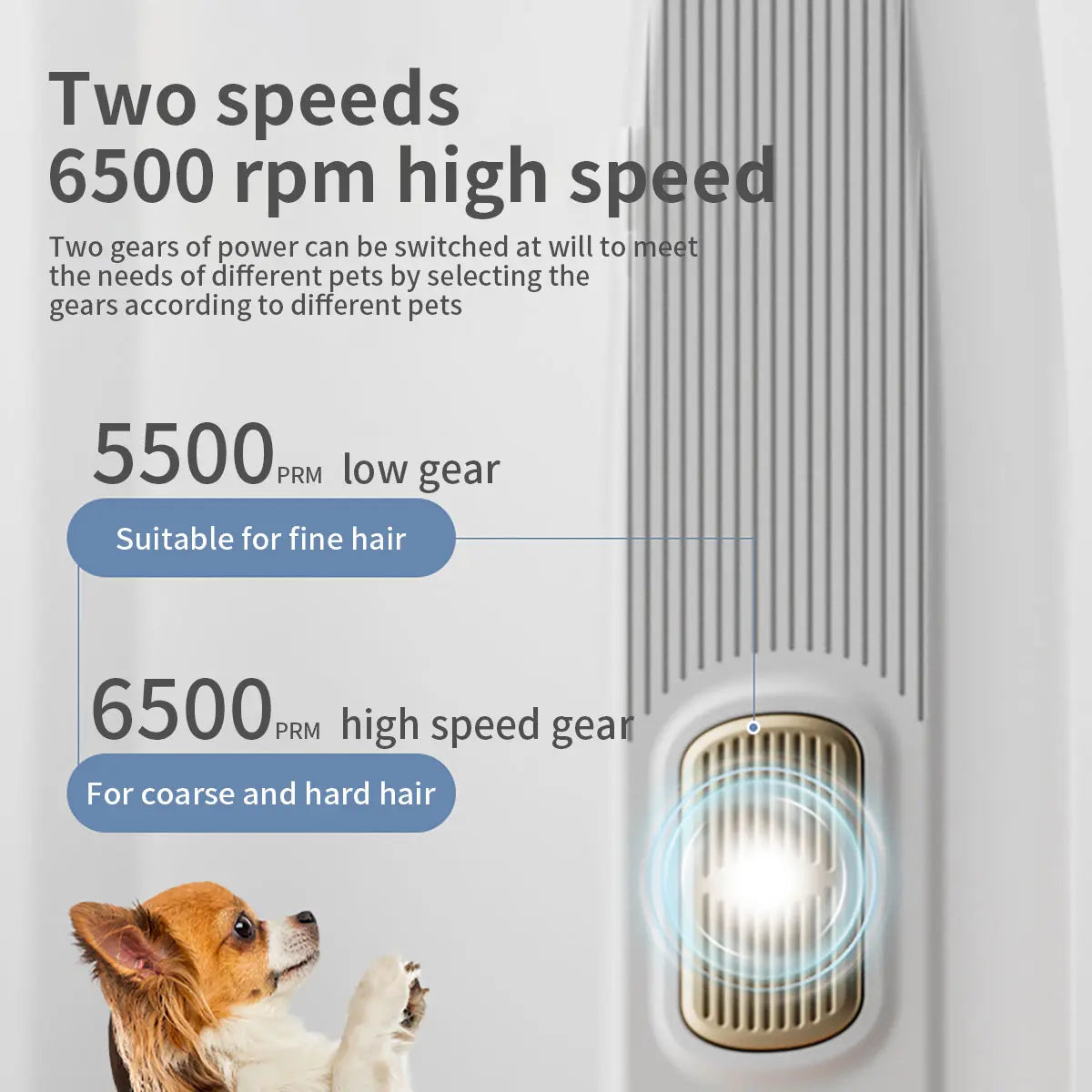 Professional Dog Grooming Clippers and Nail Grinder Trimmer Kit, Rechargeable Cordless, Low Noise, Suitable for Cats and Dogs (White)