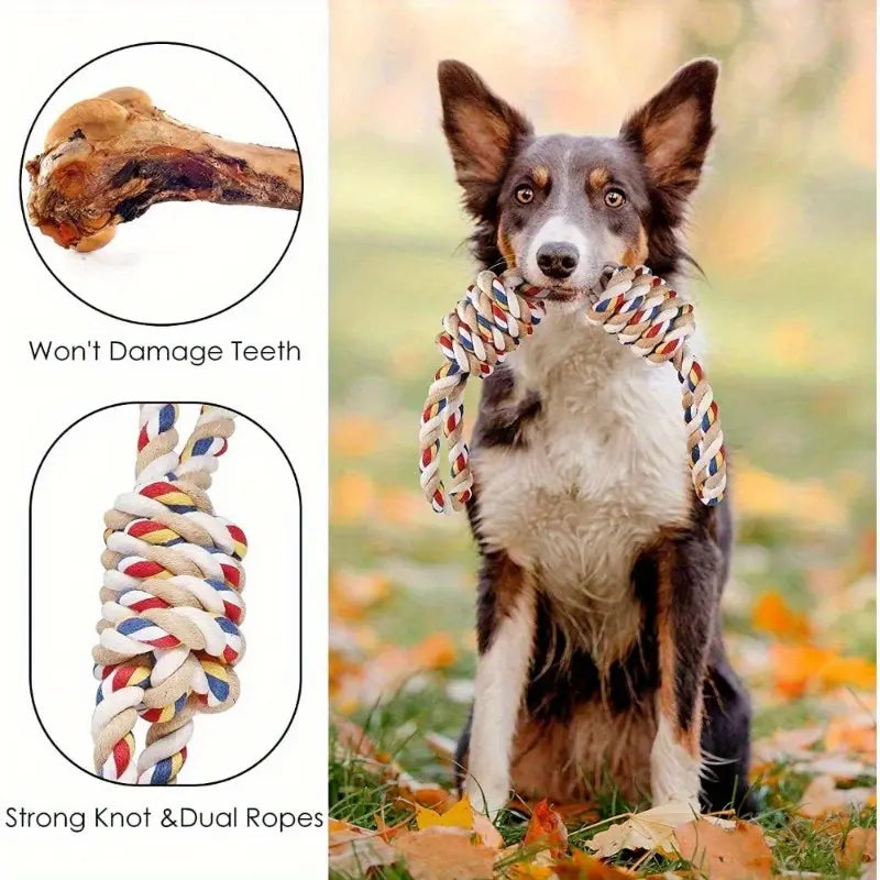 Interactive Cotton Rope Dog Leash Toy with Dual Grab Loops and Knots - Durable Chew Stick for Puppies and Dogs of All Sizes