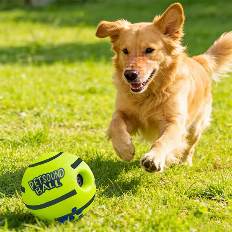 Pet Sound Toy Ball, Silicone Dog Treats Dispenser Ball, Interactive Dog Training Ball, Interactive Pet Chew Toys, Fun Indoor and Outdoor Dog Toy, Durable Chew