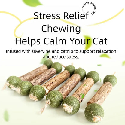 6-Pcs Natural Silvervine & Catnip Dental Chew Sticks for Cats - Calming Support, Teeth Cleaning, Fresh Breath, Boredom Buster