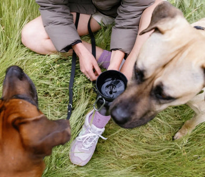 20 oz Portable Dog Water Bottle for Travel