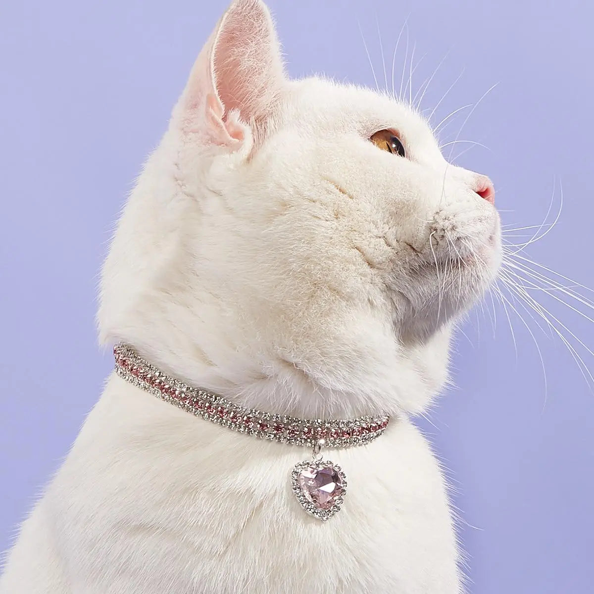 Heart Shaped Artificial Diamond Pet Collar, Aesthetic Cute Cat Collar, Cat and Dog Accessory