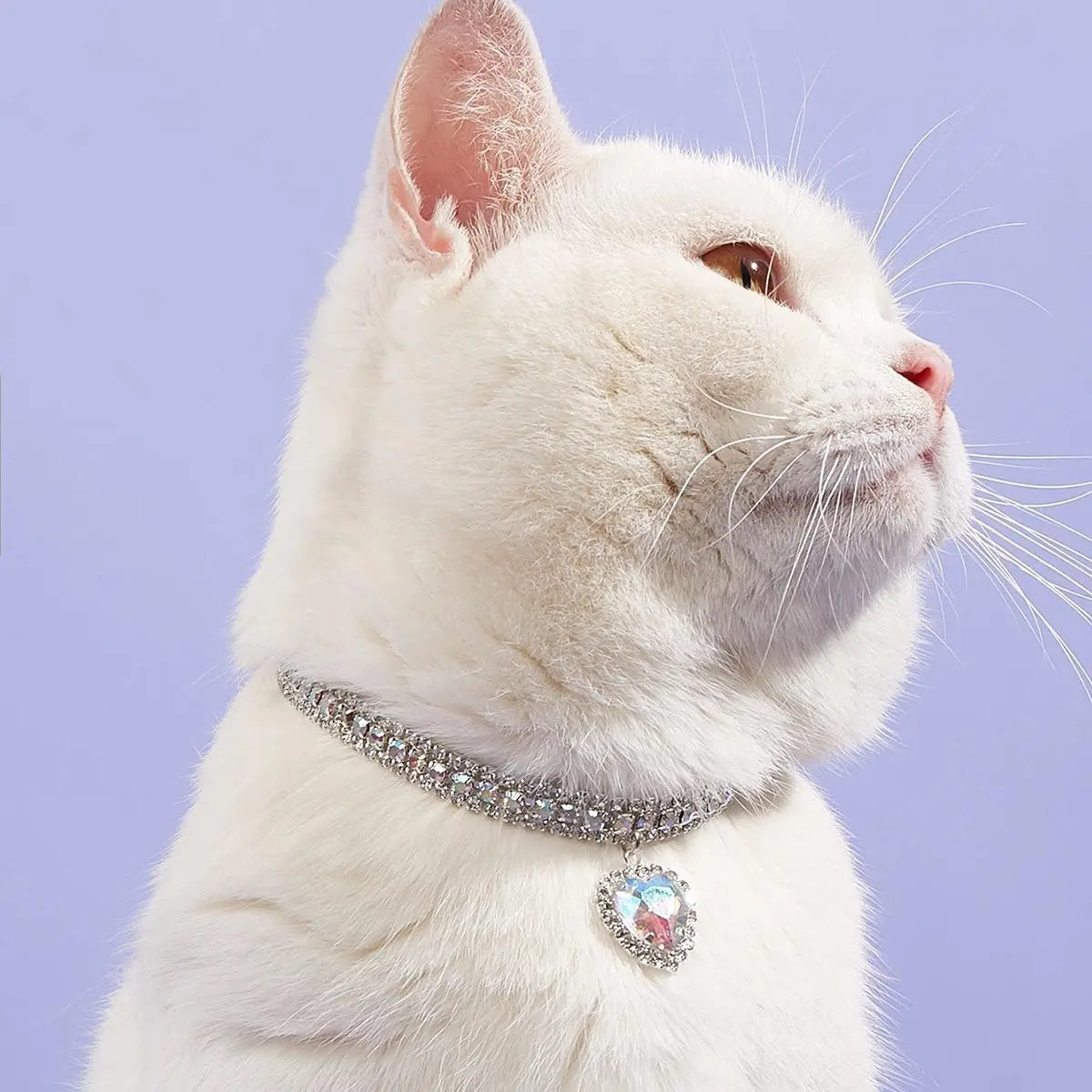 Heart Shaped Artificial Diamond Pet Collar, Aesthetic Cute Cat Collar, Cat and Dog Accessory