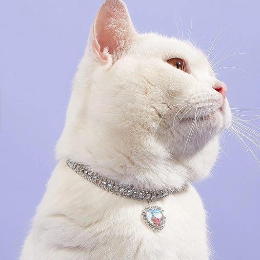 Heart Shaped Artificial Diamond Pet Collar, Aesthetic Cute Cat Collar, Cat and Dog Accessory