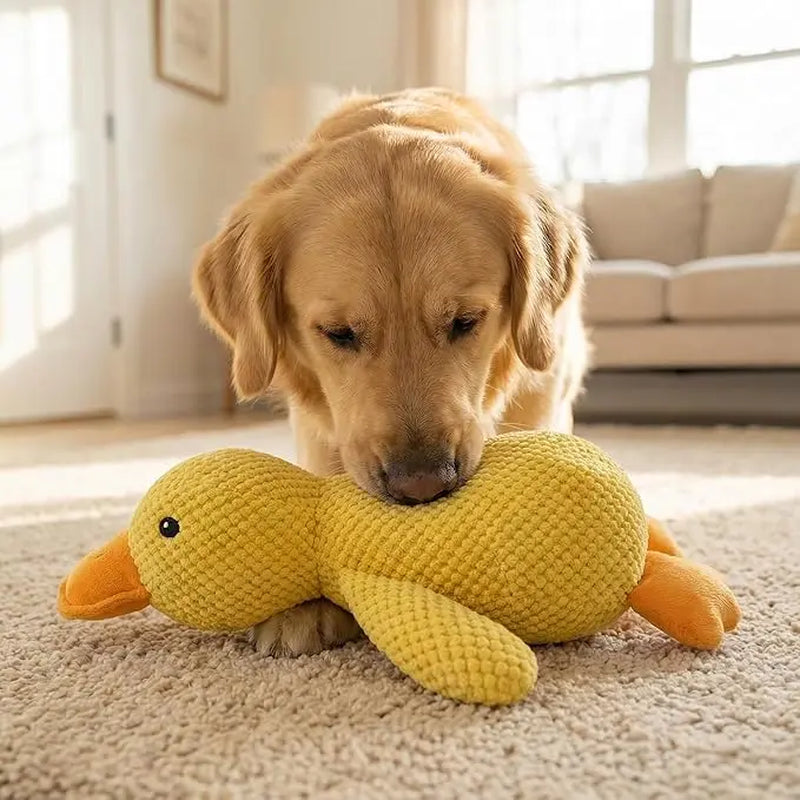 Squeaky Duck Playful Plush Dog Toy - Ultra-Soft Corduroy Tug Chew Toy with Built-In Sound, Durable Safe Interactive Plaything for Dogs & Puppies, Playful Plush Toys, Tug Plush Toys