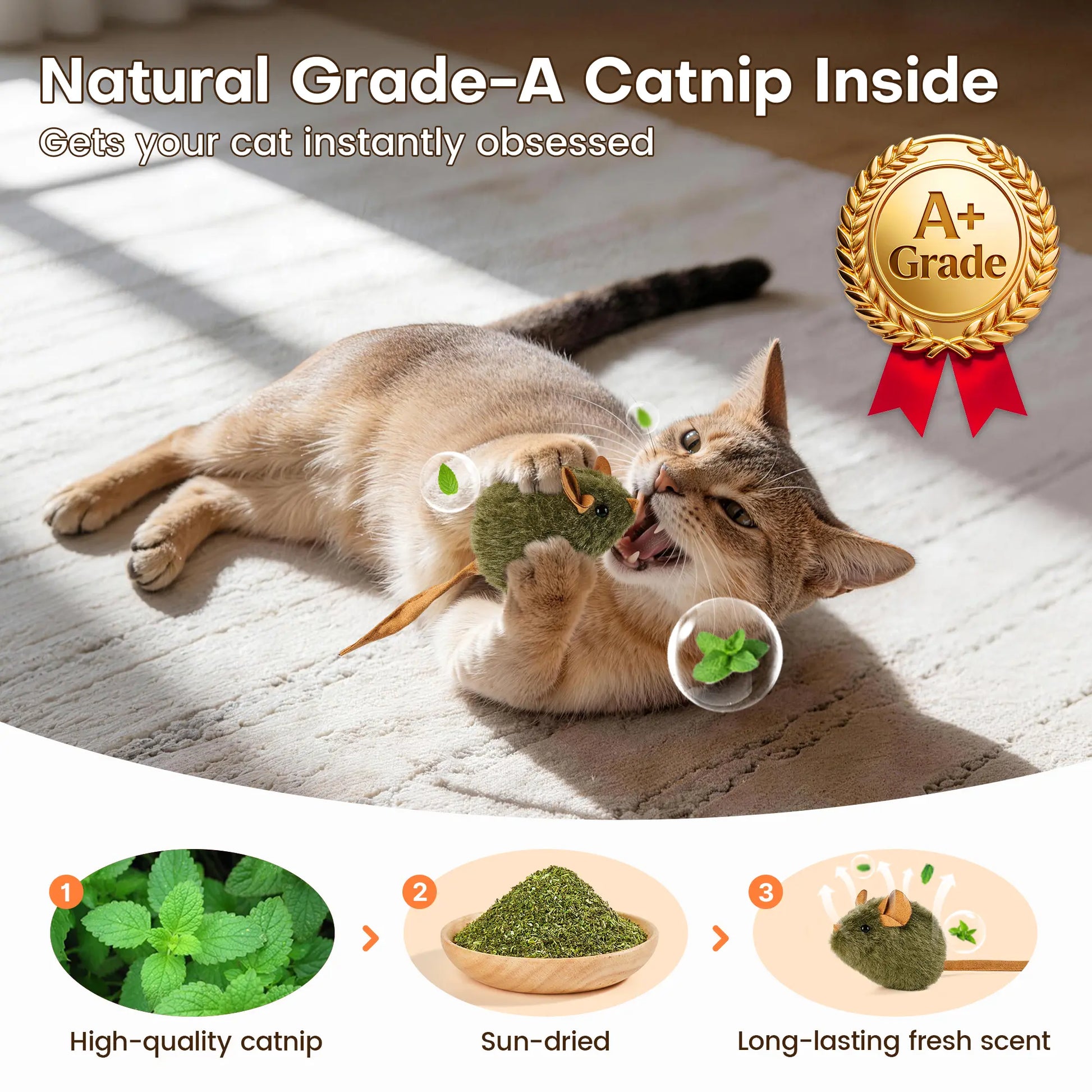Potaroma 3-Pack Plush Cat Toys with Catnip - Squeaky Interactive Play for Kittens, Adults, and Senior Cats