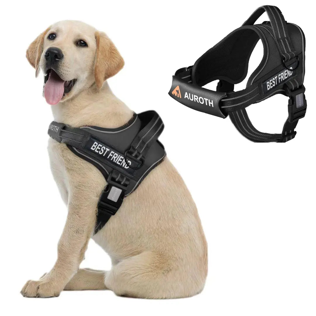 【#Summersale】No Pull Dog Harness Straps, Safety Harnesses for Dogs – Soft Padded Service Vest, Reflective, Adjustable, Easy on & off – Ideal for Walking & Training, Fits Small, Medium & Large Dogs